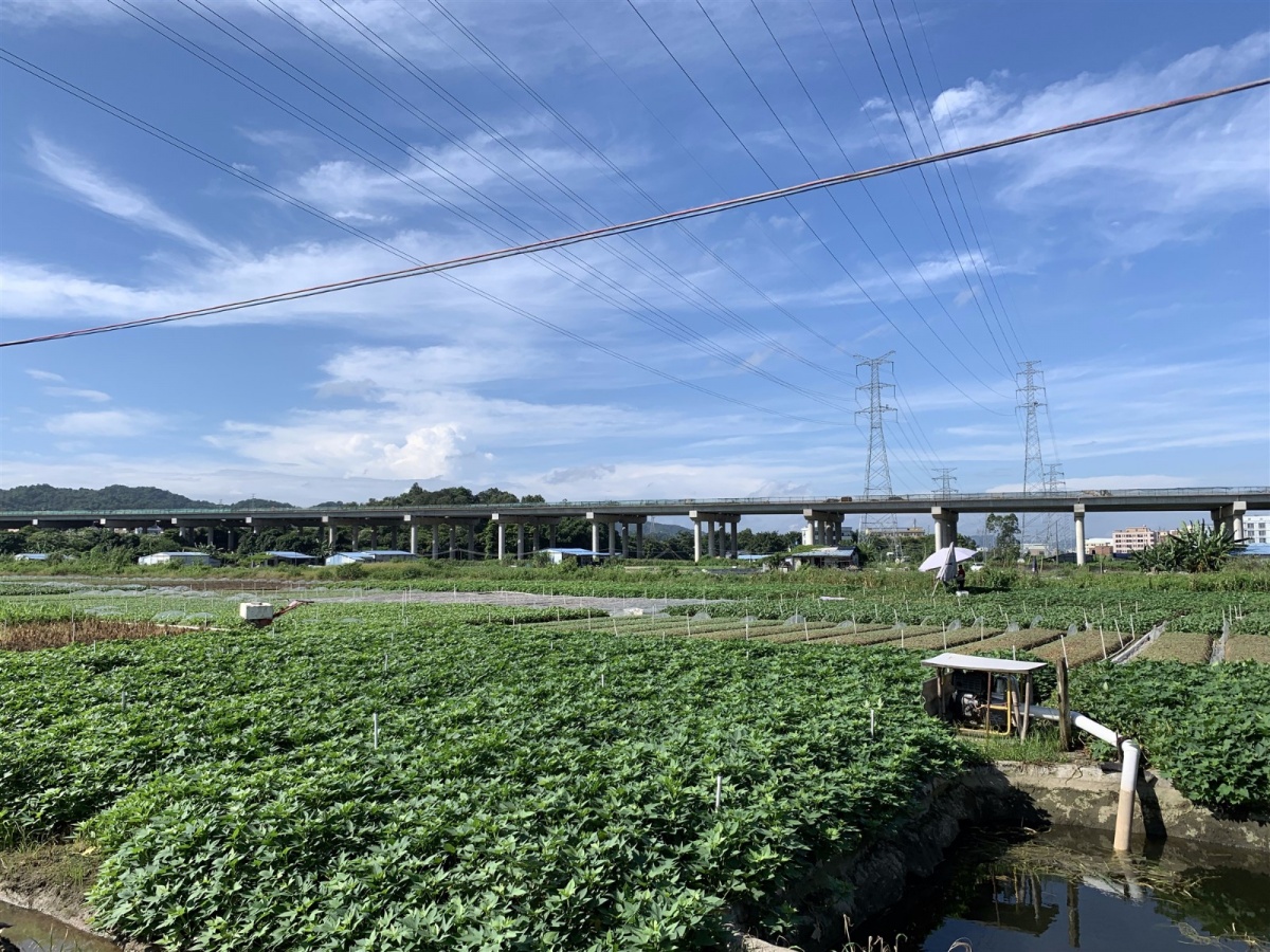 微信图片_201908220933264_副本.jpg 微信图片_201908220933264_副本.jpg